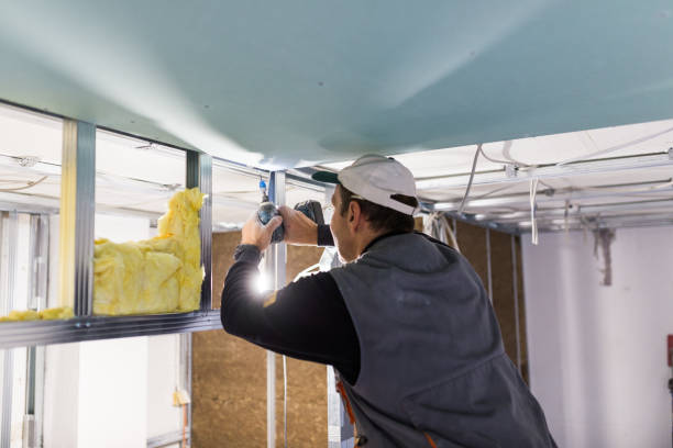 Best Energy Efficiency Insulation in Blackville, SC