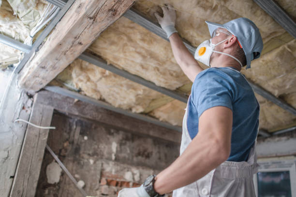Best Cellulose Insulation in Blackville, SC