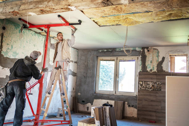 Best Eco-Friendly Insulation in Blackville, SC