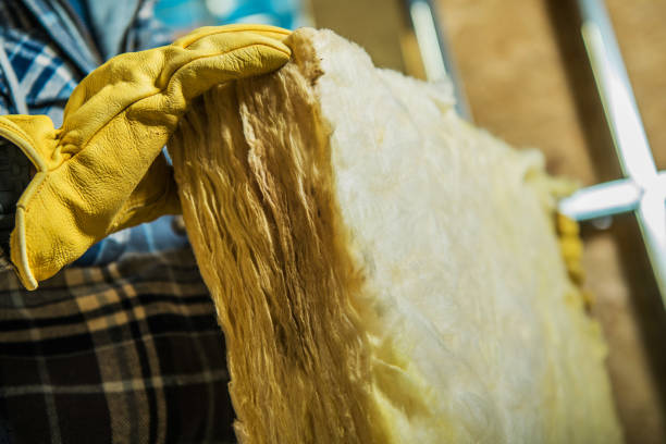 Best Commercial Insulation in Blackville, SC