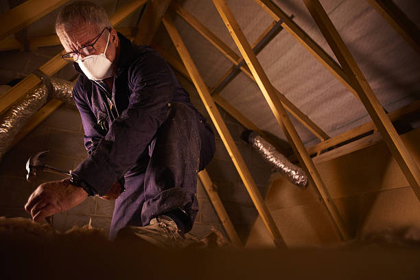  Blackville, SC Insulation Contractor Pros